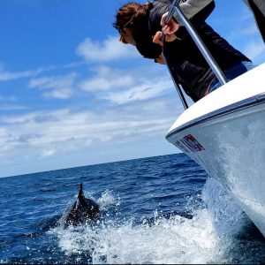 En bateau : une croisière en français dans la baie de Los Angeles