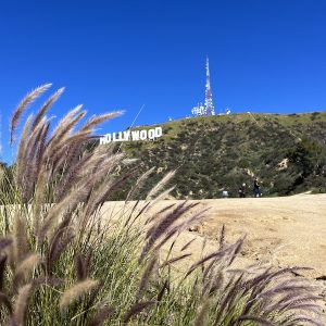 Randonnée à l’assaut du signe Hollywood !