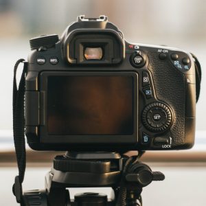 Séance photo à Venice Beach et découverte du quartier avec un guide français