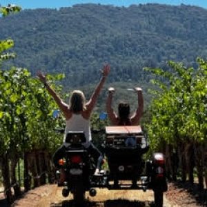 “Rider” au coeur des vignobles californiens