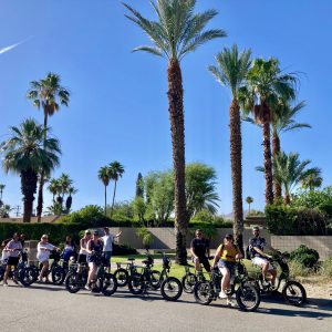 Palm Springs : une oasis en plein désert