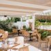 La paloma cafe