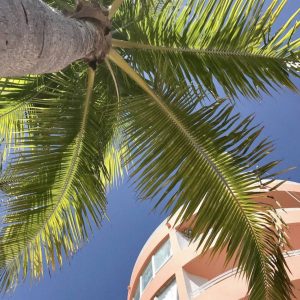 …Une journée pour découvrir Miami en privé