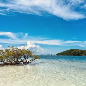 …Croisière d’une journée dans les Keys au départ de Miami (Boca Chita Key)