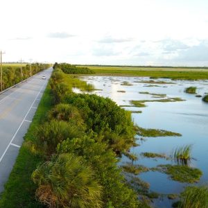… Visiter les Everglades, tour de 1h30 en airboat (hydroglisseur)