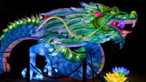 jungle-island-luminosa-festival-of-lights-2025-gallery-2