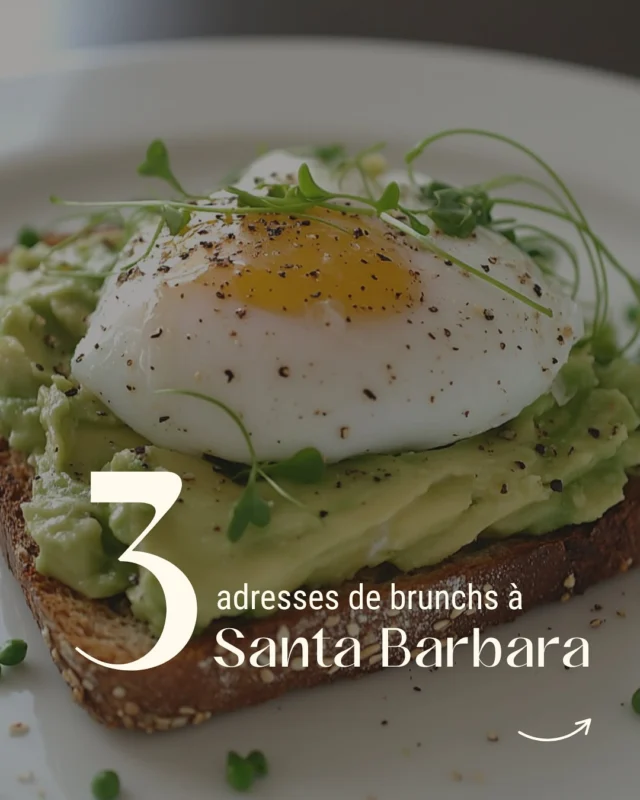🥞☕ Brunch lovers, ce post est fait pour vous !

On vous partage 3 adresses incontournables pour un brunch à Santa Barbara !

Et ce n’est qu’un aperçu 👀

👉 Retrouvez notre sélection complète des 12 meilleures adresses pour bruncher à Santa Barbara dans l’article dispo via le lien en bio 🔗

Dites-nous en commentaire : laquelle de ces adresses vous donne le plus envie ? 👇

#SantaBarbara #BrunchTime #CaliforniaVibes #BonnesAdresses #CityGuide #californie #voyage #voyageusa #etatsunis #roadtripcalifornie