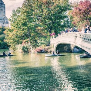 En vélo à Central Park sur les traces du cinéma