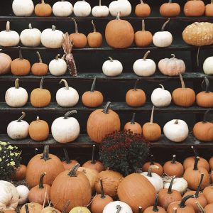 … Visite de Greenwich Village spécial Halloween