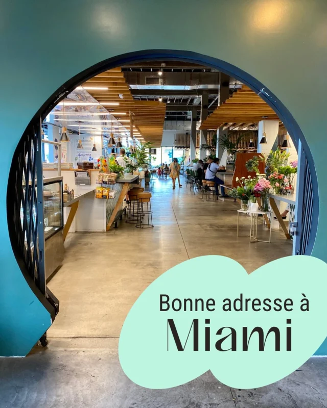 📍 The Citadel, une pépite à découvrir à Miami !

Situé au cœur du quartier de Little River, The Citadel n’est pas juste un food hall : c’est un vrai lieu de vie où culture, cuisine et design se rencontrent.

🍴 Côté food, une belle sélection de stands pour tous les goûts : cuisine asiatique, burgers gourmets, tacos, bowls healthy… Le tout dans une ambiance animée et conviviale. Mention spéciale pour le rooftop, idéal pour boire un verre avec vue sur la ville ! 🌆🍹

🛍️ Mais The Citadel, c’est aussi un petit espace shopping avec des boutiques de créateurs locaux, des articles de déco, des vêtements vintage, des accessoires faits main et même des produits bien-être. Parfait pour dénicher des pièces uniques et soutenir les talents de la région !

Rendez-vous au 8300 NE 2nd Ave, Miami, FL 33138

#TheCitadelMiami #BonnesAdressesMiami #bonnesadresses #voyage #ConceptStore #voyagemiami #floride #bonplan #restaurant