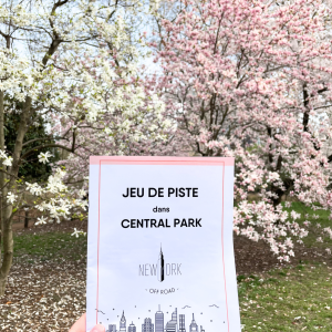 JEU DE PISTE DANS CENTRAL PARK (Prestige) - Image 5
