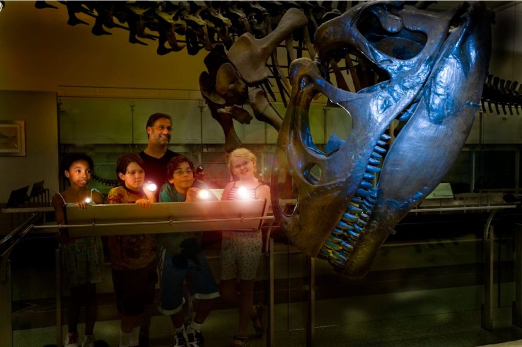 enfants en pyjama lampe torche nuit au musée d'histoire naturelle dinosaure sleepover